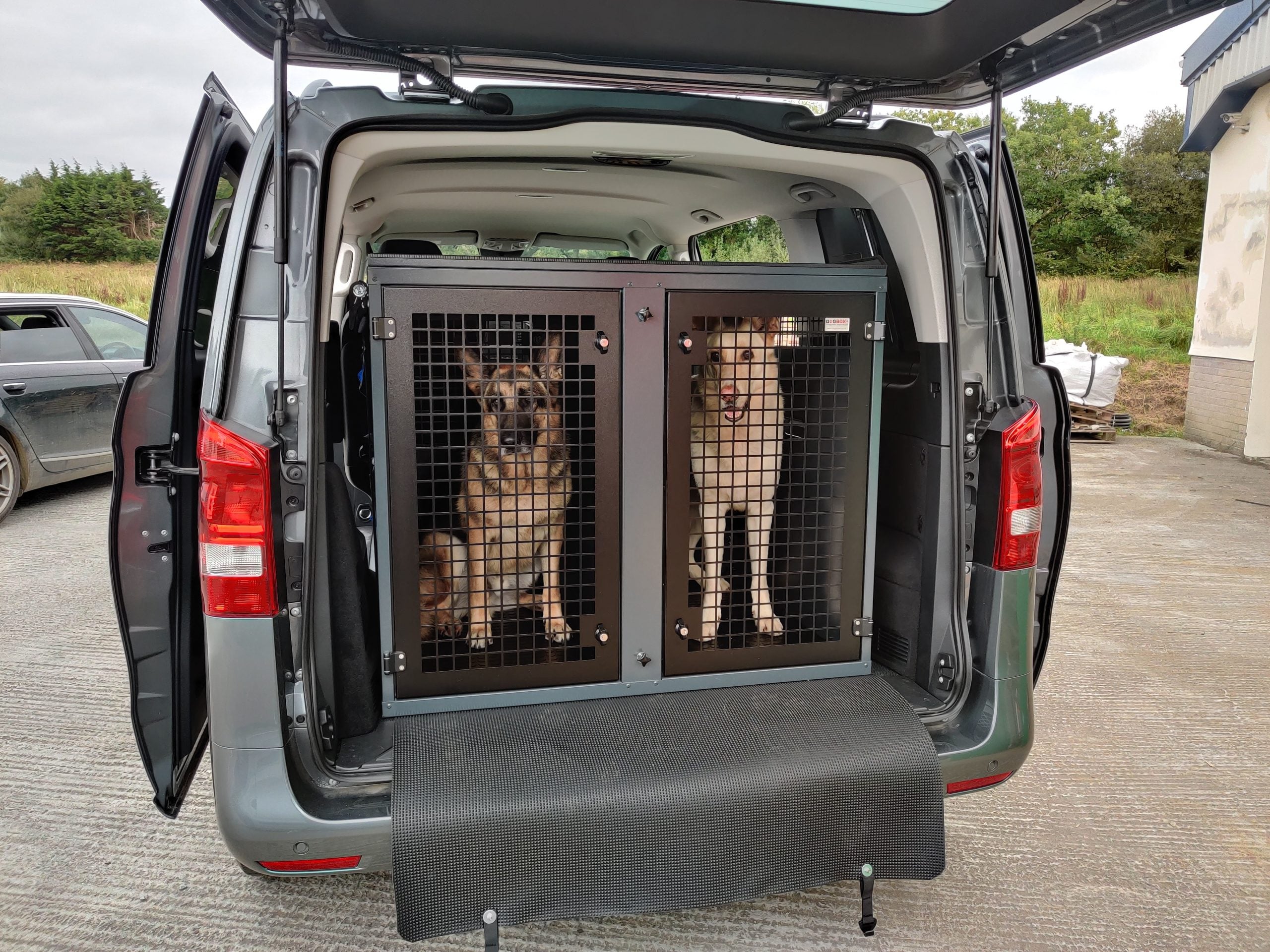 DB121 Large Double Dog Transport Cage - Main Image