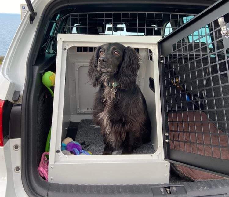 DB145 - Single Dog Transport Cage