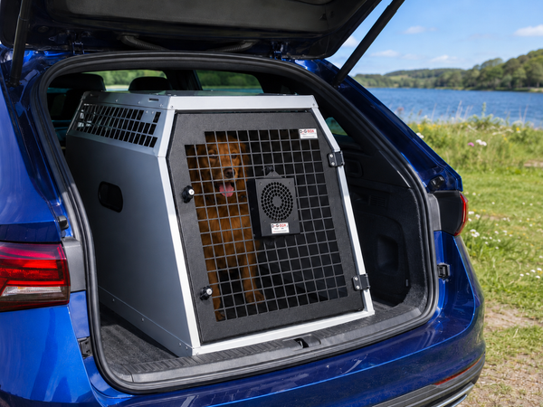 How to Keep Your Dog Cool in the Car (Especially in the Boot)