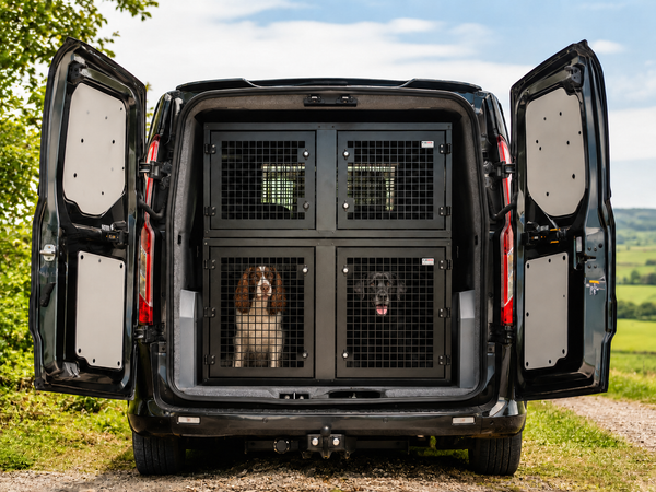 Setting Up a Van for Your Dog Walking Business: A Practical Guide