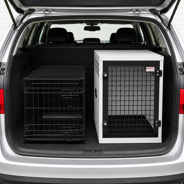 Wire Crate vs Fixed Transit Cage: What's Actually Safest for Car Travel?