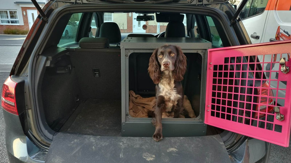 DB373 - Single Dog Transport Cage