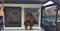 DB04WP - Small Double Dog Weatherproof Transport Cage