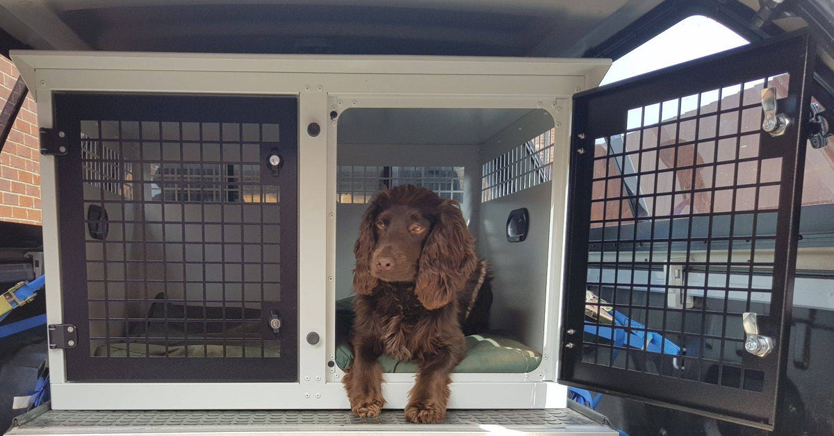 DB04WP - Small Double Dog Weatherproof Transport Cage
