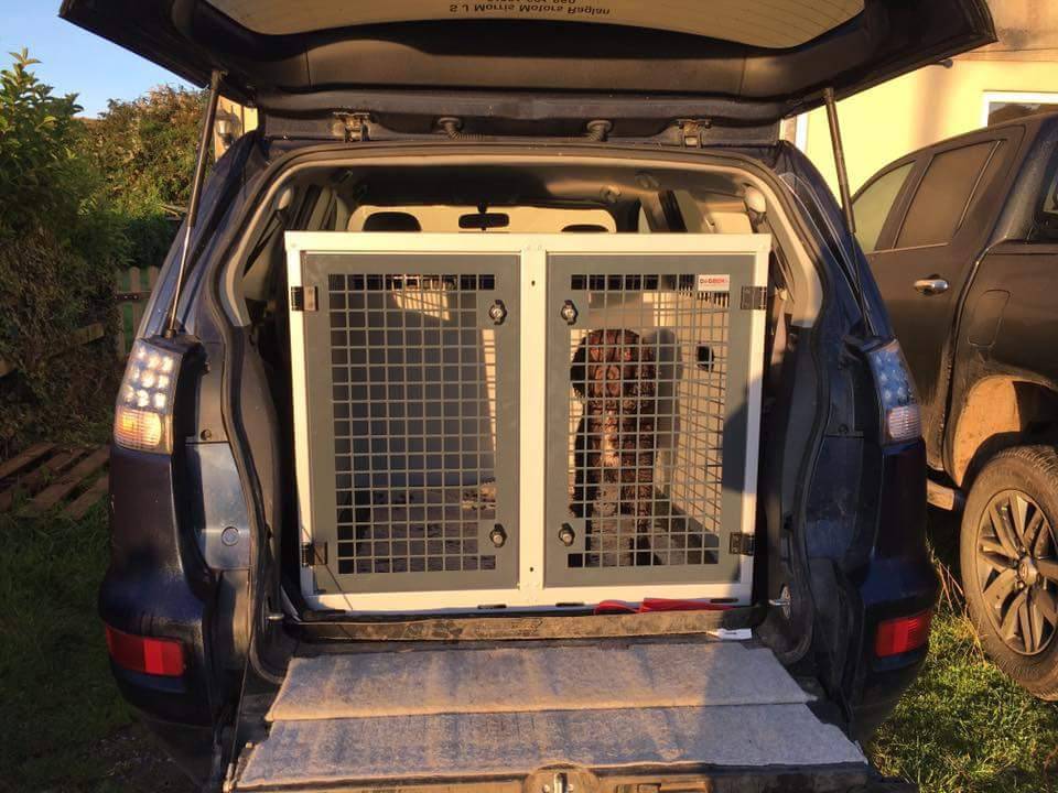 DB03 - Double Dog Transport Cage