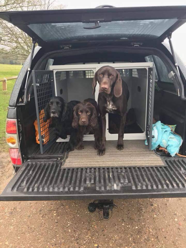 DB05ED – Large Double Dog Transport Cage