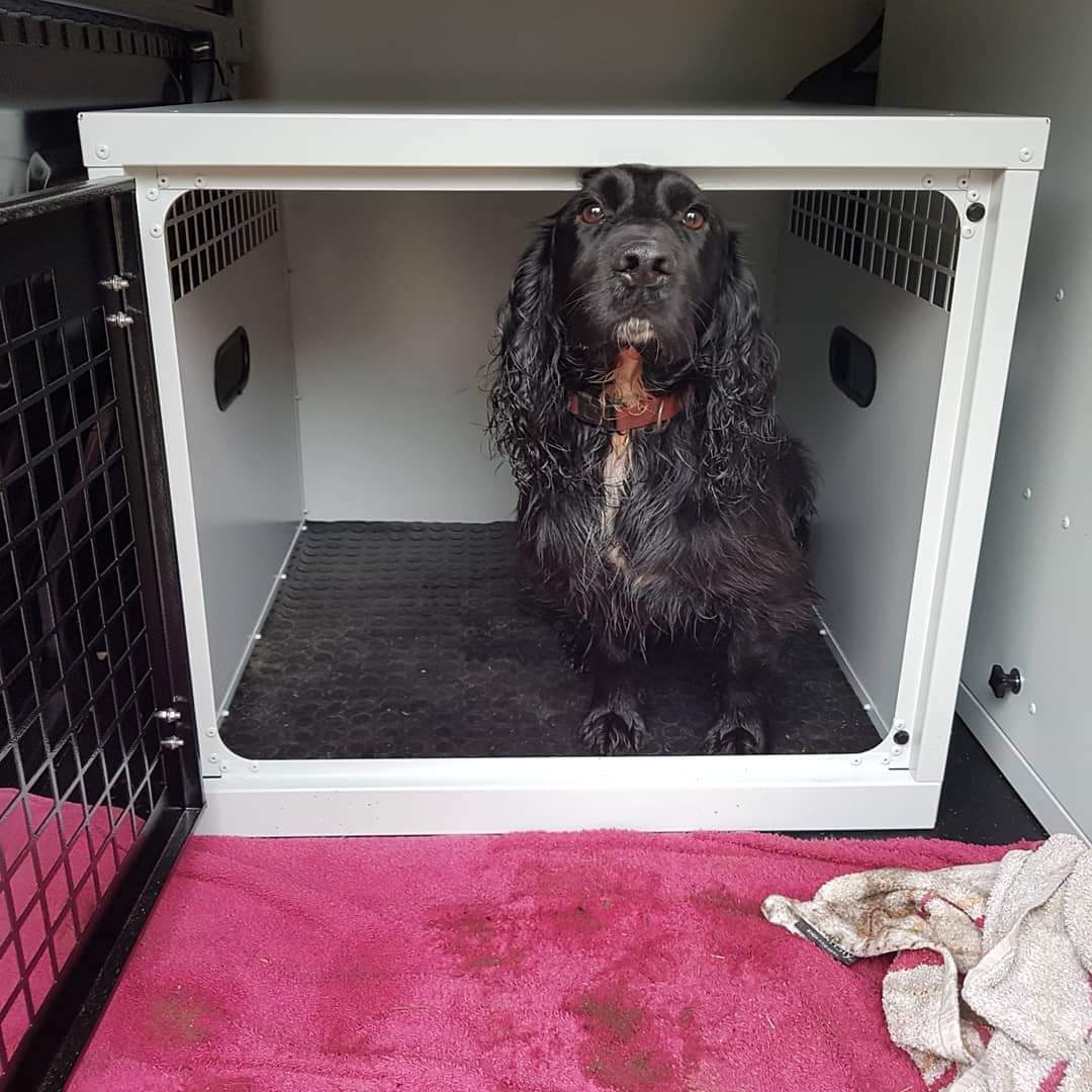 DB54 - Medium Single Dog Transport Cage