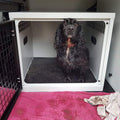 DB59 - Medium Slanted Single Dog Transport Cage
