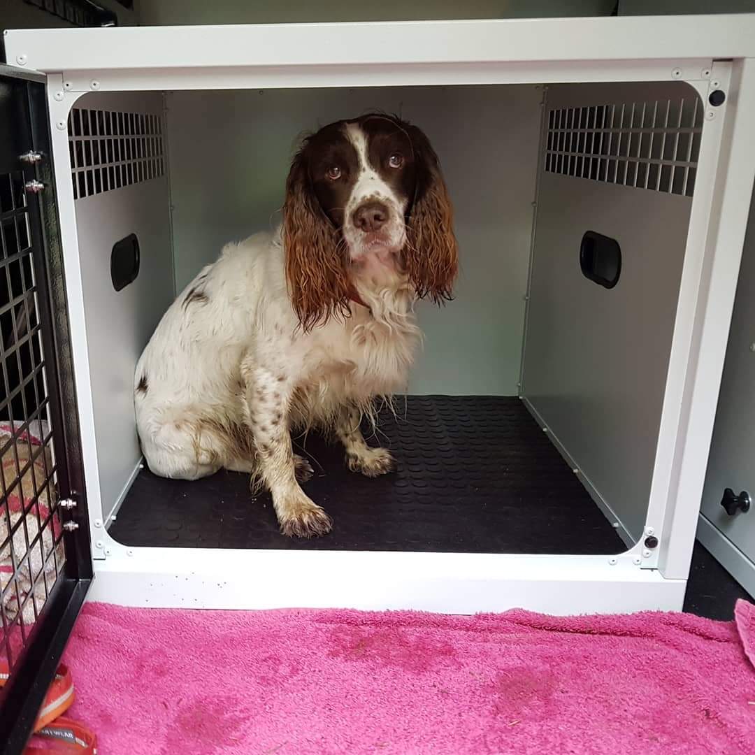DB54 - Medium Single Dog Transport Cage