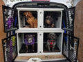 DB81 & DB62 Stacked Dog Transport Cage Kit