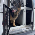 DB81 & DB62 Stacked Dog Transport Cage Kit