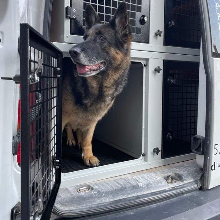 DB81 & DB62 Stacked Dog Transport Cage Kit