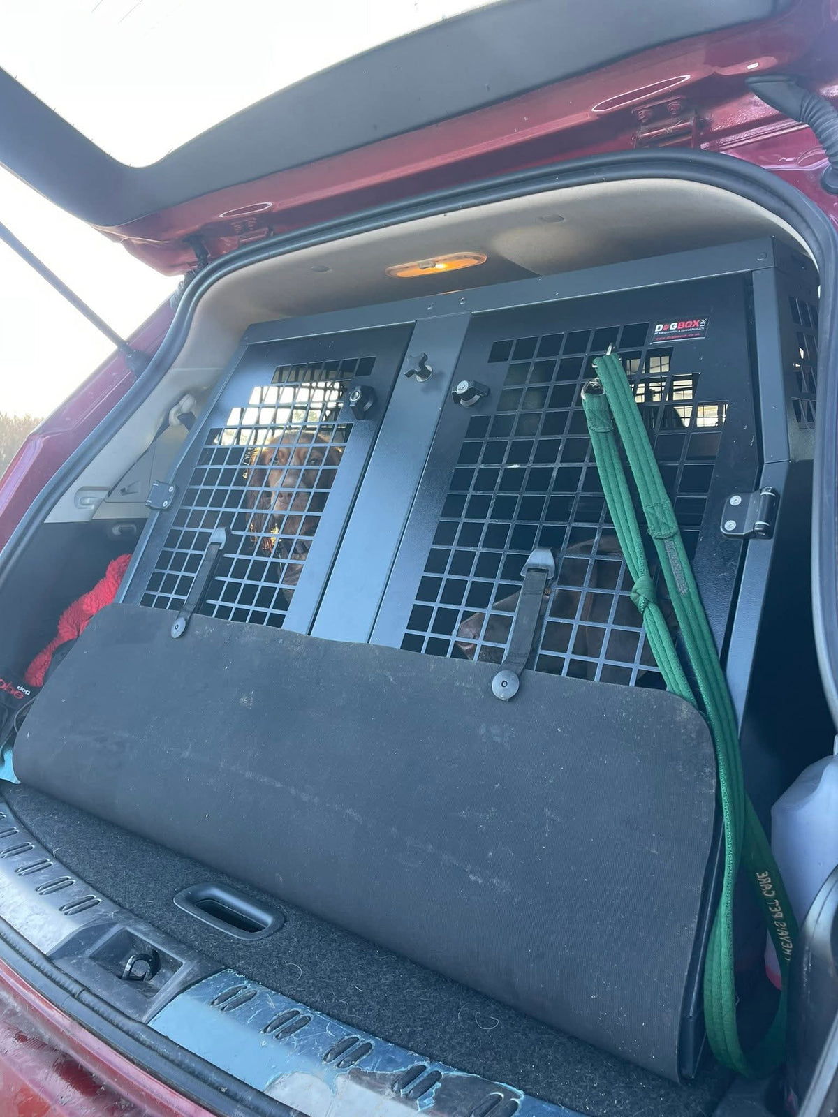 DB316 - Double Dog Transport Cage