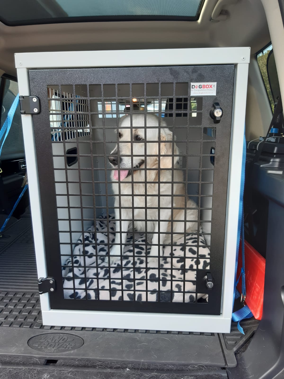 DB105ED - Single Space Saver Dog Transport Cage