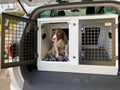 DB141 - Double Transport Cage