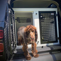 DB107 - 2020 Land Rover Defender 110 Double Dog Transport Cage