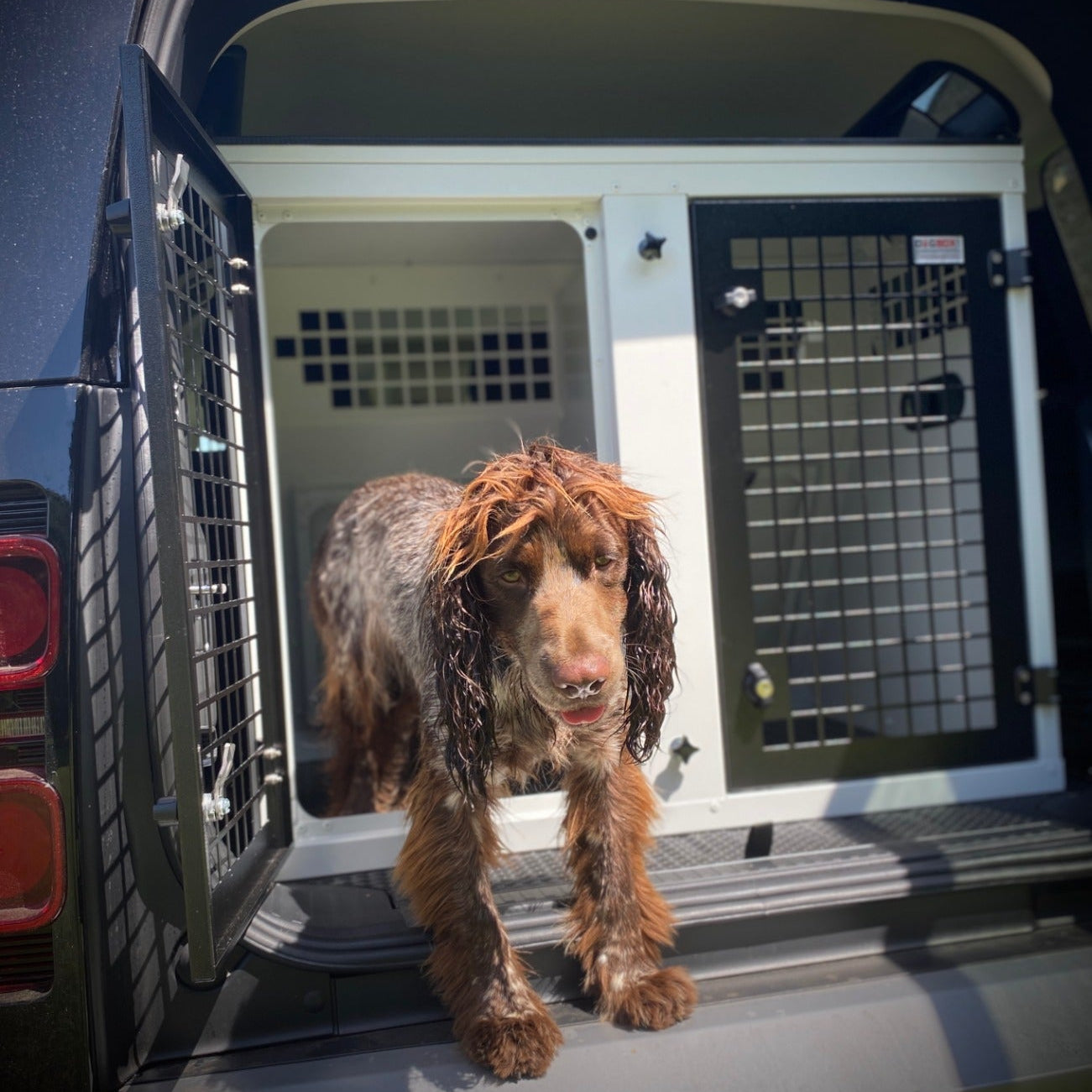 DB107 - 2020 Land Rover Defender 110 Double Box