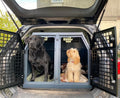 DB174 - Double Dog Transport Cage