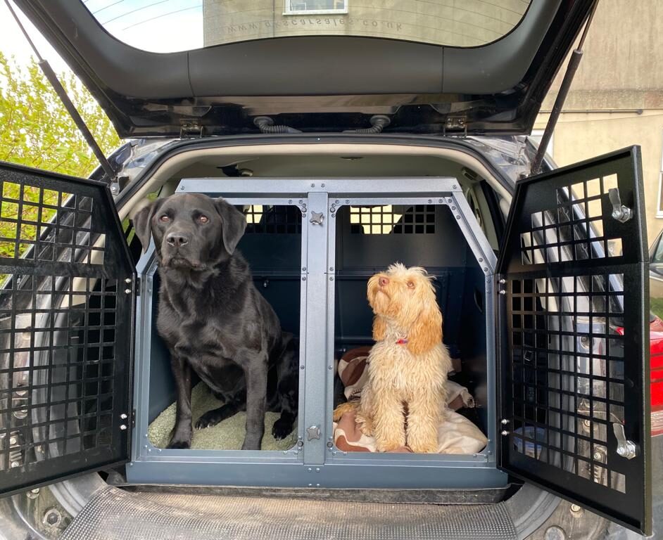 DB174 - Double Dog Transport Cage