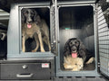 DBDU001 - Single Drawer Unit and Dog Box