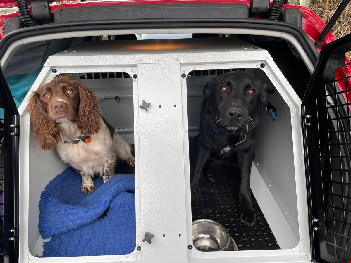 DB357 - Double Dog Transport Cage