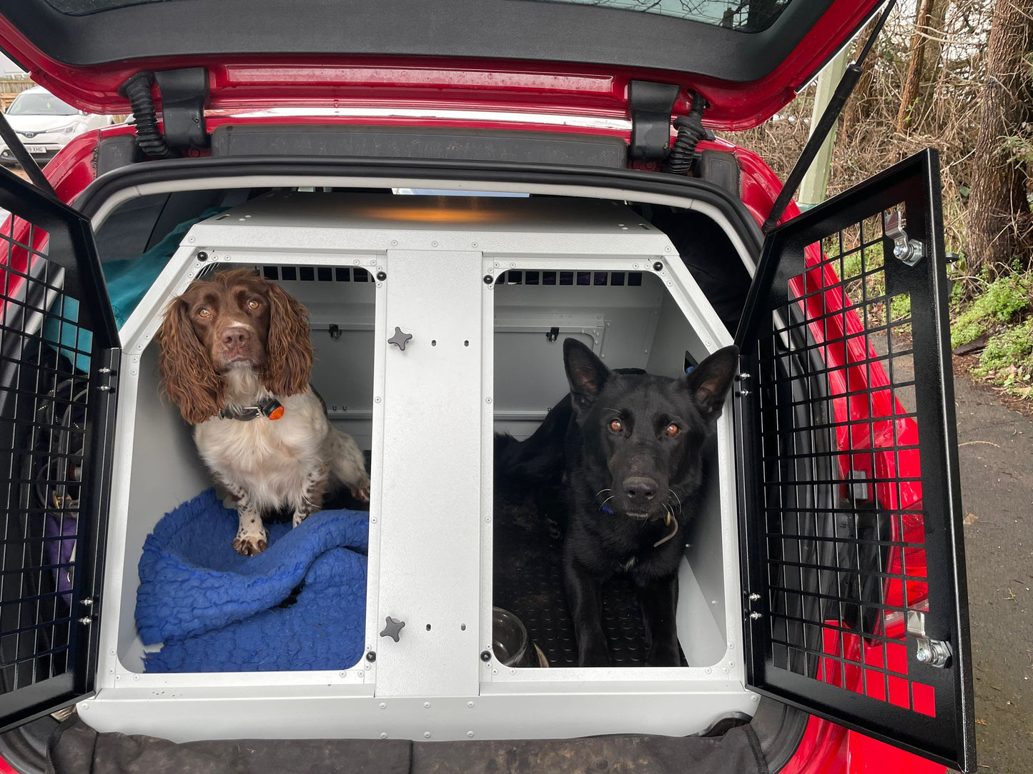 DB357 - Double Dog Transportation Cage