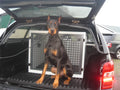 DB16 - Medium Double Dog Transport Cage