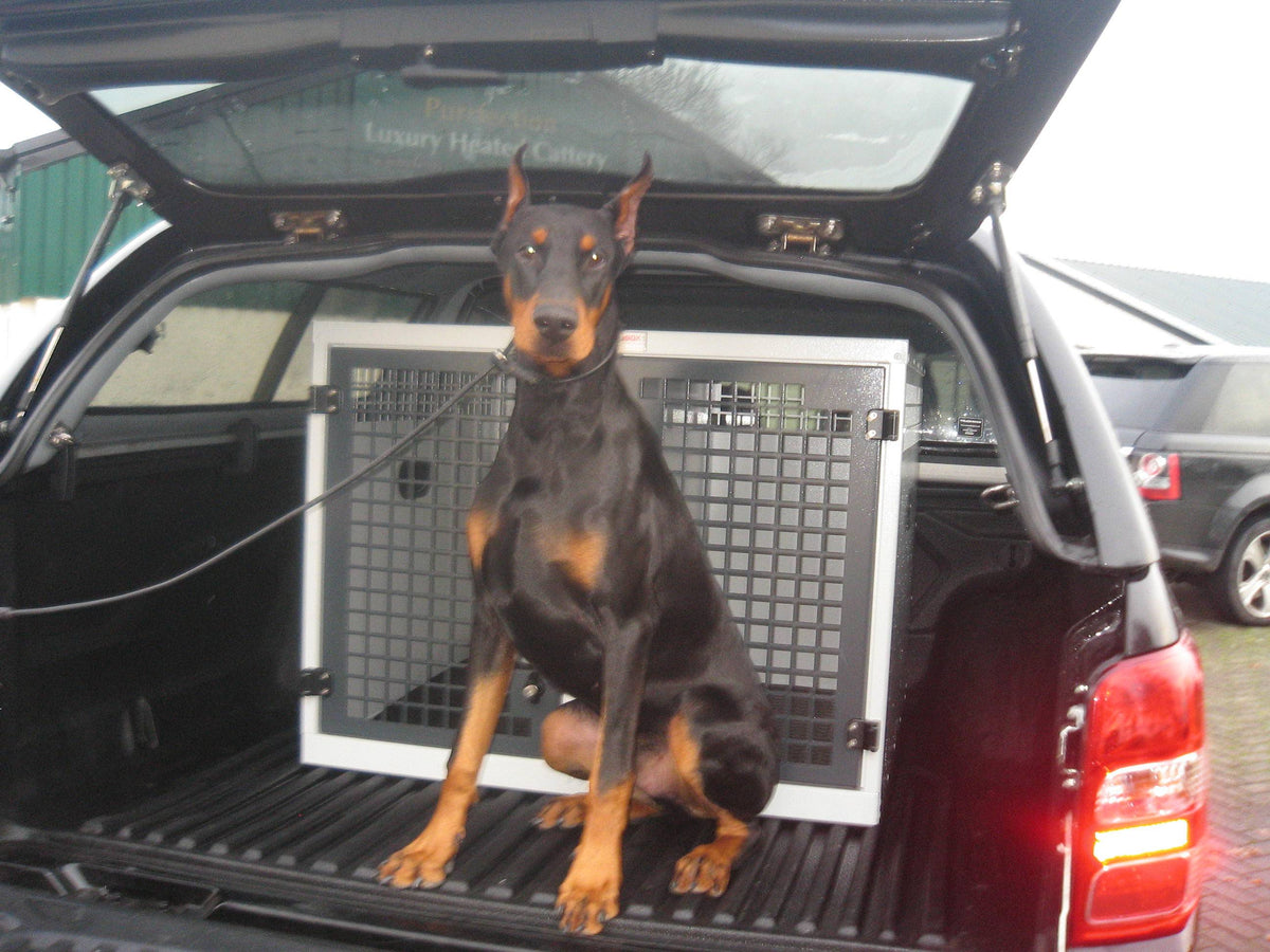DB16 - Medium Double Dog Transport Cage