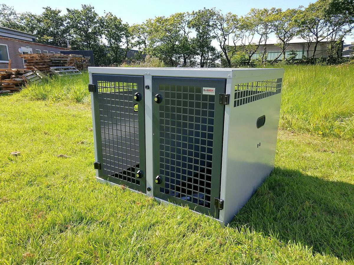 DB01 - Medium Double Dog Transport Cage