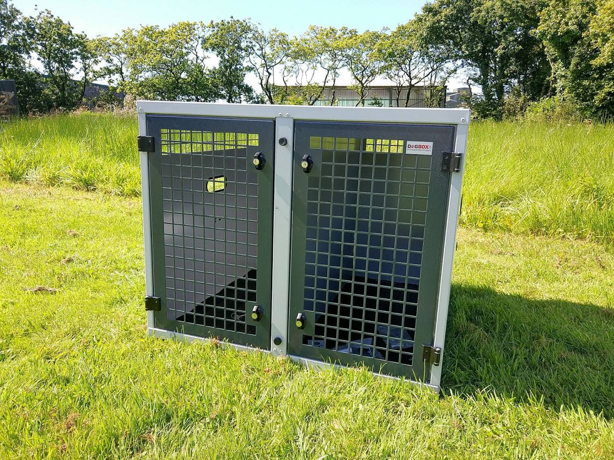 DB01 - Medium Double Dog Transport Cage