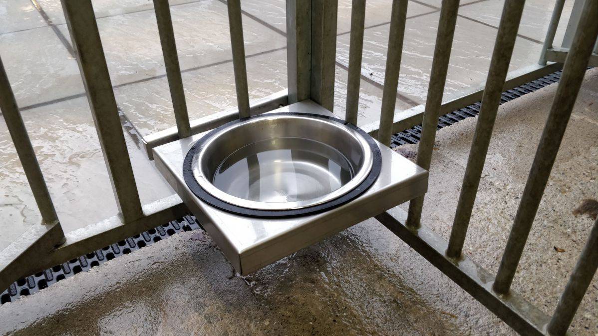 Single Dog Bowl Holder