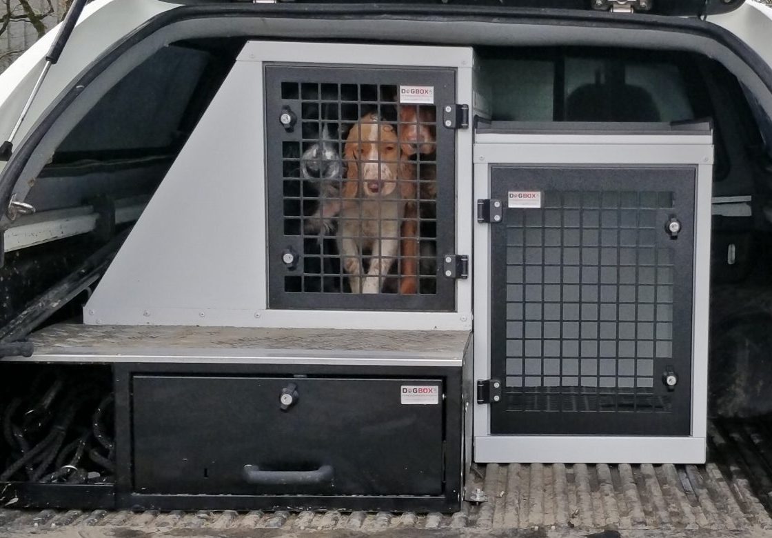 DB60 - Compact Single Dog Transport Cage