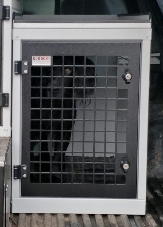 DB60 - Compact Single Dog Transport Cage