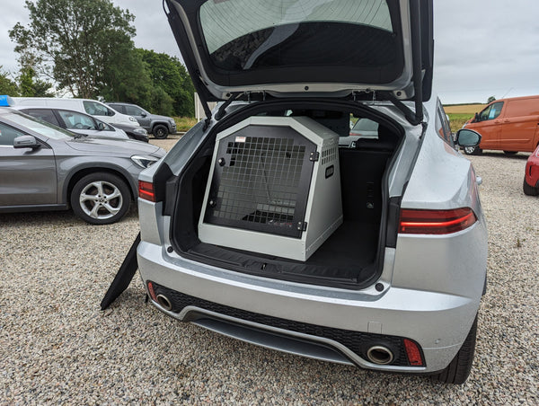 DB324 - Single Dog Transport Cage