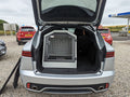 DB324 - Single Dog Transport Cage