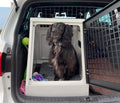 DB145 - Single Dog Transport Cage